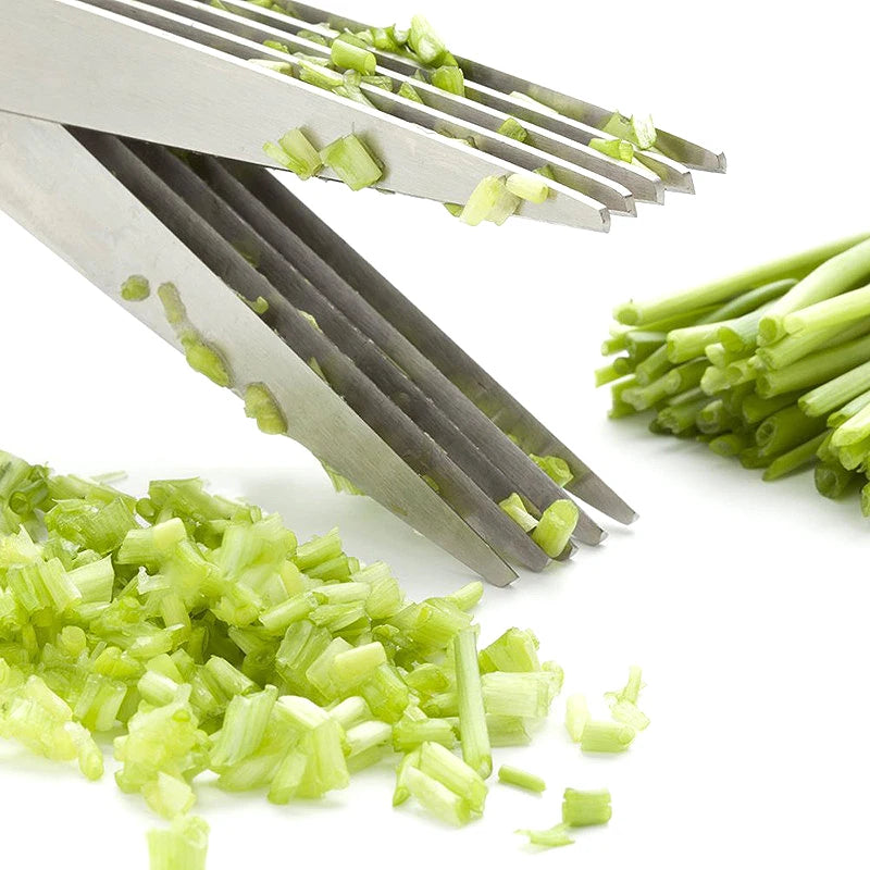 5-Layer Herb & Scallion Scissors | Stainless Steel Shears