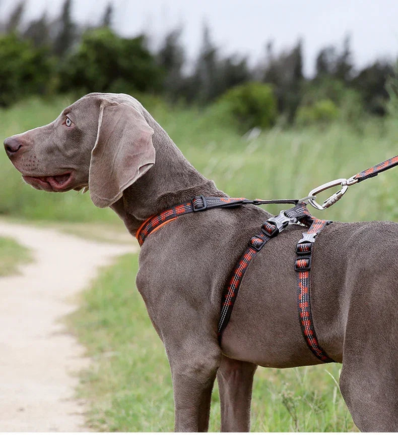TRUELOVE Pet Best Double H Trail Runner No-Pull Dog Harness 3M Reflective with Premium Material Small Medium Large Dogs YH1804 Peaceful Pleasures Health and Wellness