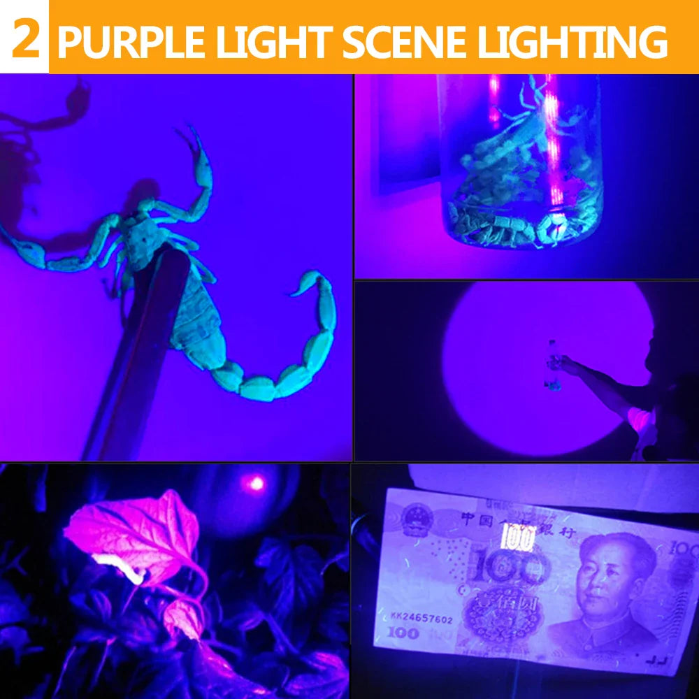POCKETMAN 2-in-1 UV LED Headlamp | USB Rechargeable & Waterproof