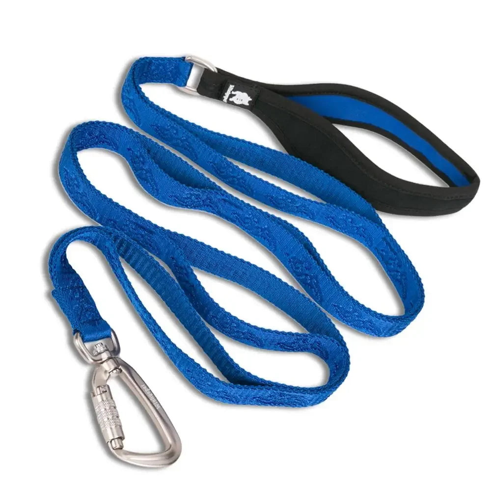 TRUELOVE Pet Leash Nylon Zinc-alloy Hook Carabiner Dog Accessories Rope Lead Medium Big Ferocious Travel Pet Supplies YL1831 Peaceful Pleasures Health and Wellness royal blue M China Mainland