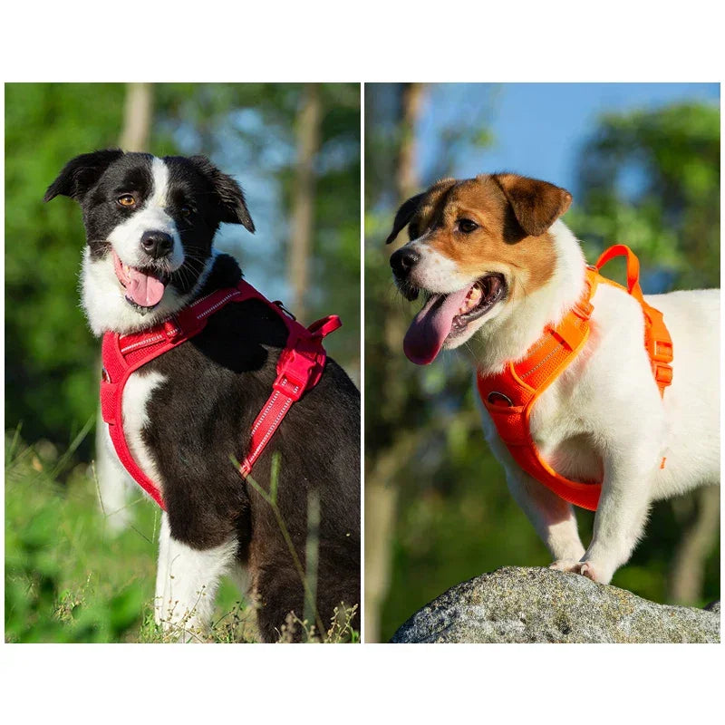 TRUELOVE Pet Harness Nylon Reflective Comfortable and Breathable Explosion-proof Small Medium Large Outdoor Camping HP5652 Peaceful Pleasures Health and Wellness