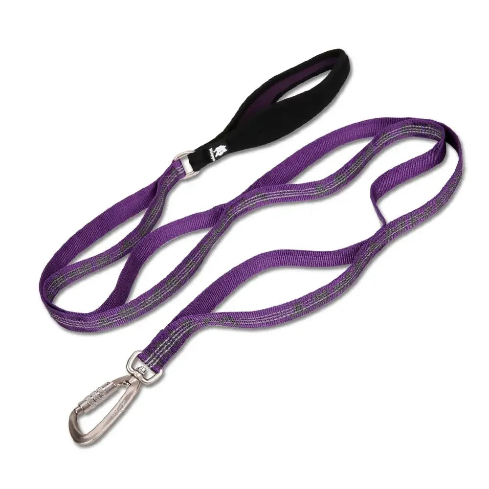 Truelove 3M Reflective Heavy-Duty Dog Leash with Carabiner YL1832 Dog Leashes Peaceful Pleasures Health and Wellness purple L China Mainland