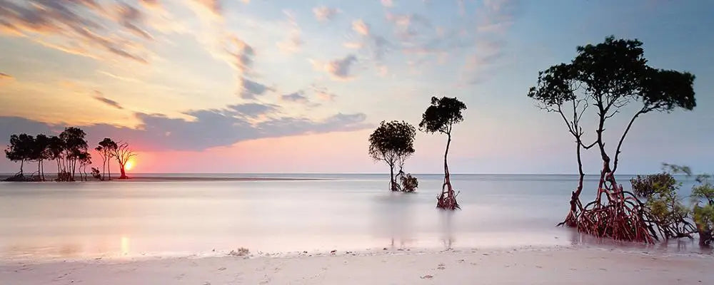 Modern Beach Dusk Seascape Picture Print on Canvas Painting Home Decor Coastline Posters Wall Art Pictures for Living Room Decor Peaceful Pleasures Health and Wellness PC17872 50x125cm No Frame