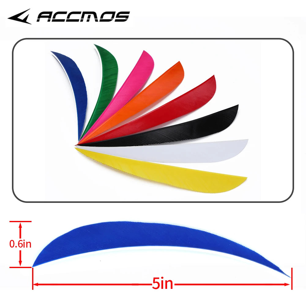 3 4 5 Archery Shooting Hunting Arrow Feather Natural Turkey Real