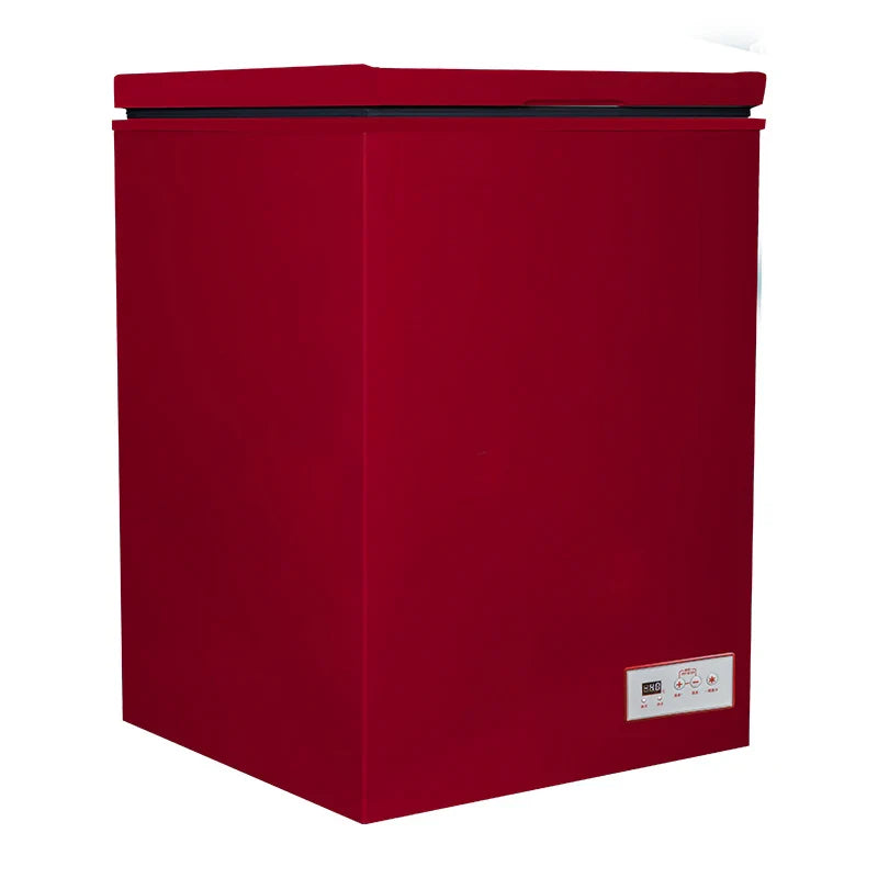 LZHZXY 100L Upright Freezer 200W Frost-Free | BD(C)-100
