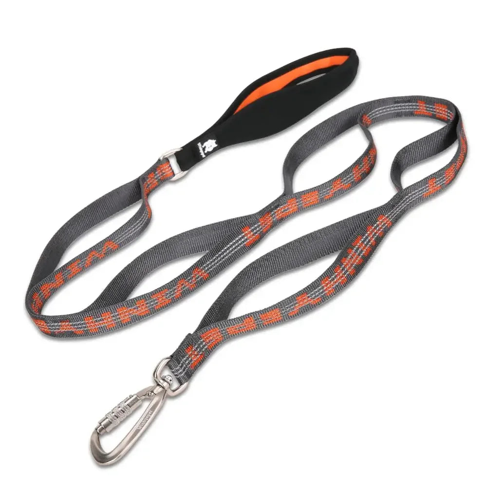 Truelove 3M Reflective Heavy-Duty Dog Leash with Carabiner YL1832 Dog Leashes Peaceful Pleasures Health and Wellness orange L China Mainland