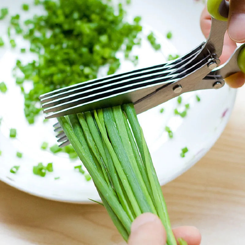 5-Layer Herb & Scallion Scissors | Stainless Steel Shears