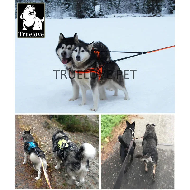 Truelove Nylon Double Dog Leash For Two Dogs Coupler No Tangle Pet Leash For Large Small Dogs For Training Running TLl2372 Peaceful Pleasures Health and Wellness
