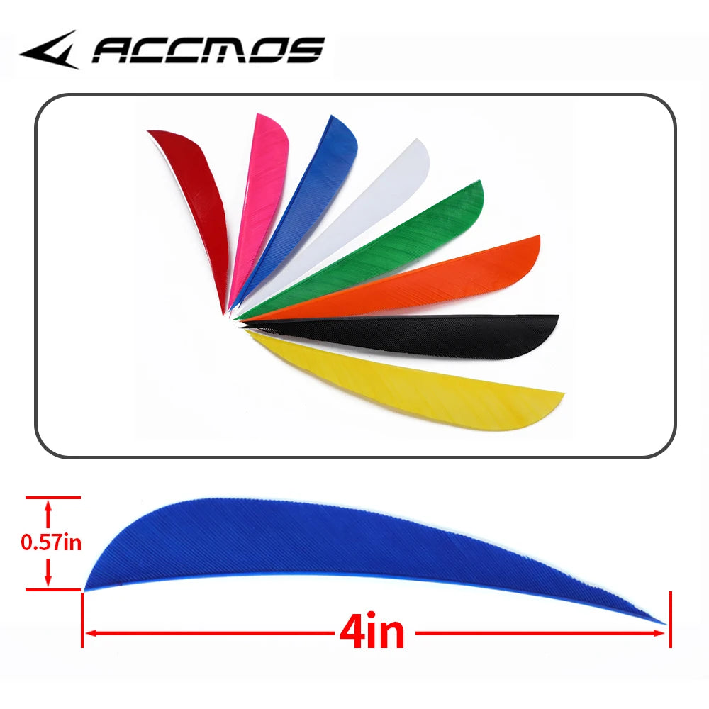 3 4 5 Archery Shooting Hunting Arrow Feather Natural Turkey Real