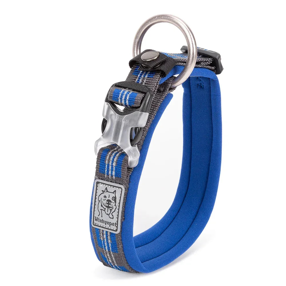 Truelove Neoprene Padded 3M Reflective Dog Collar – YC1854 Peaceful Pleasures Health and Wellness Royal blue XXXL belgium