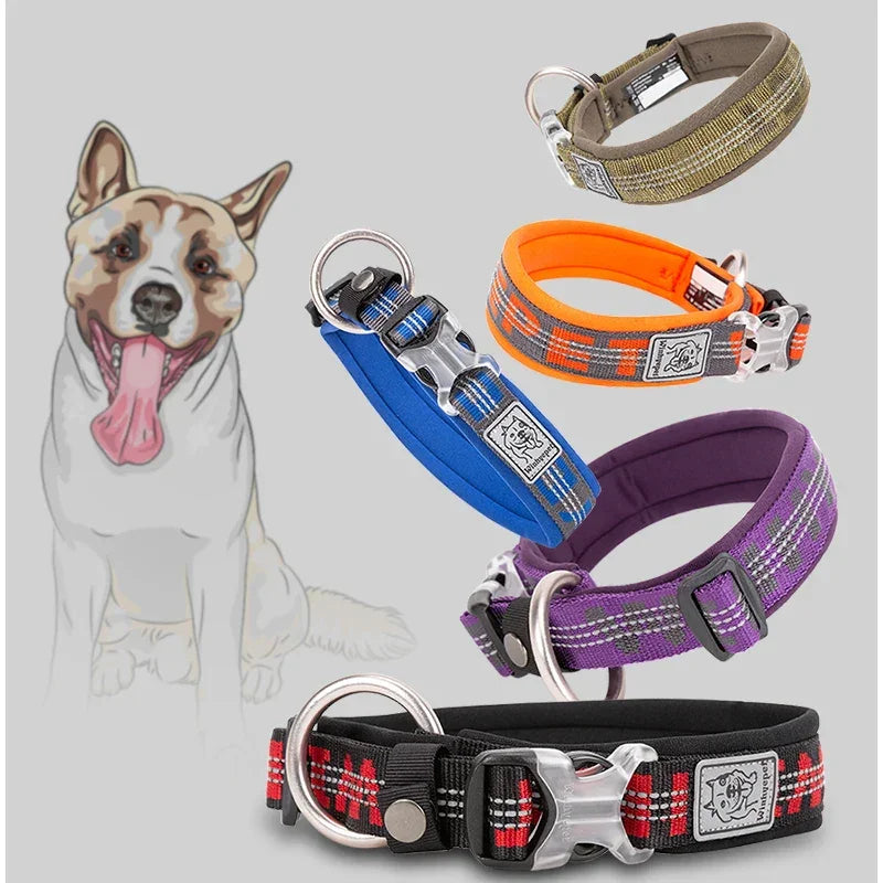Truelove Neoprene Padded 3M Reflective Dog Collar – YC1854 Peaceful Pleasures Health and Wellness