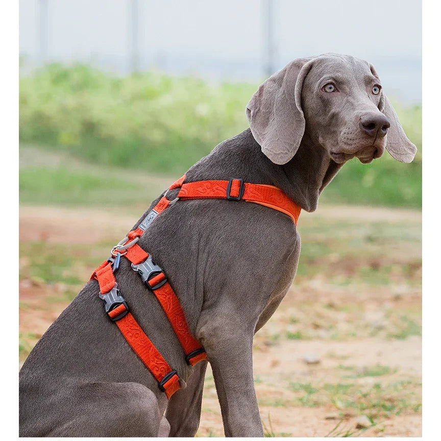 TRUELOVE Pet Harness Double-H Nylon Personalized Dog Harness NO PULL Reflective Breathable Adjustable YH1803 Peaceful Pleasures Health and Wellness
