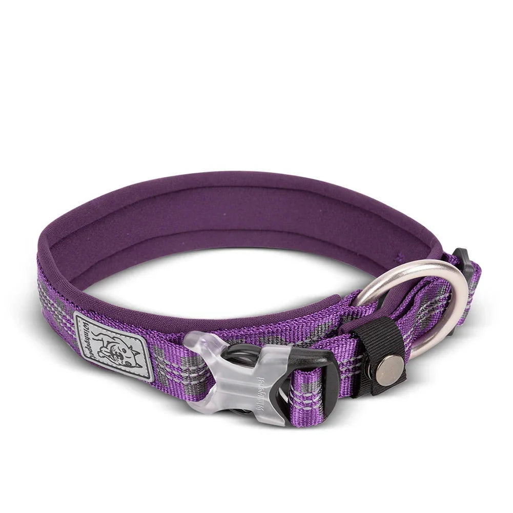 Truelove Neoprene Padded 3M Reflective Dog Collar – YC1854 Peaceful Pleasures Health and Wellness