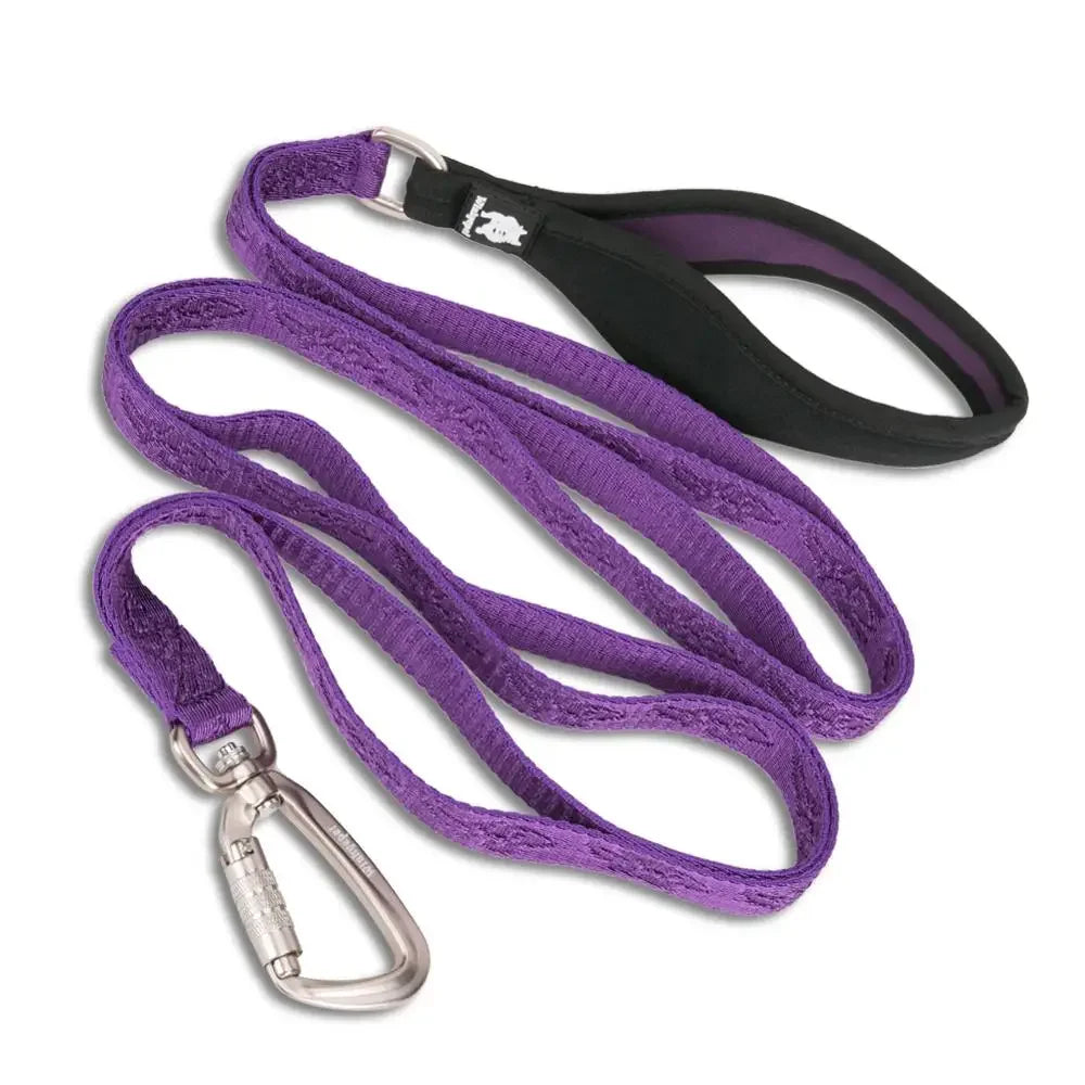 TRUELOVE Pet Leash Nylon Zinc-alloy Hook Carabiner Dog Accessories Rope Lead Medium Big Ferocious Travel Pet Supplies YL1831 Peaceful Pleasures Health and Wellness purple M China Mainland