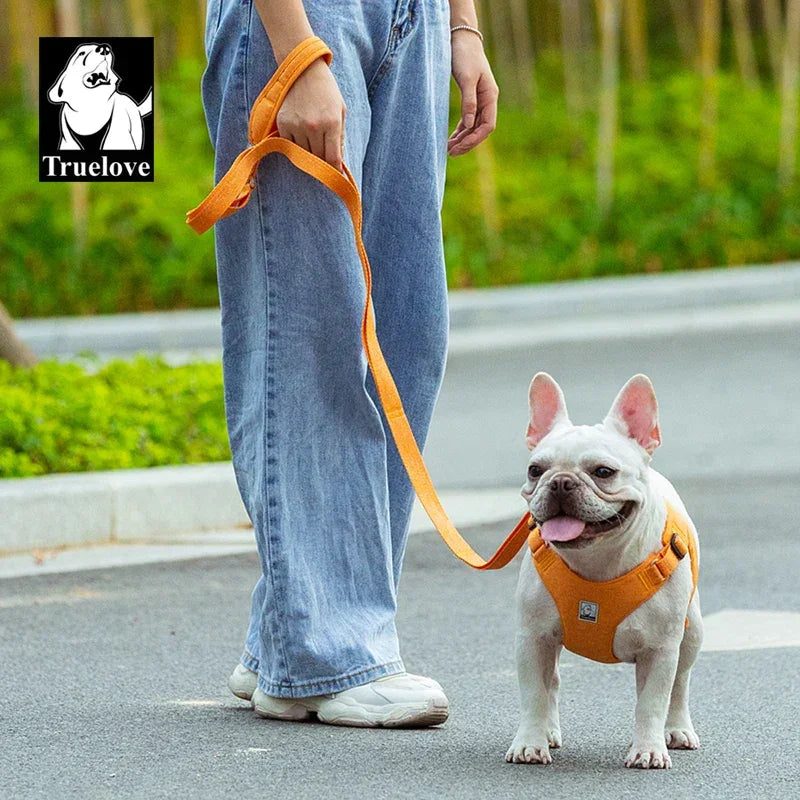 Truelove Eco-Friendly Dog Rope Leash Recycled Materials Quick Release Breathable Comfortable Polyester Dog Walking TLL3073 Peaceful Pleasures Health and Wellness