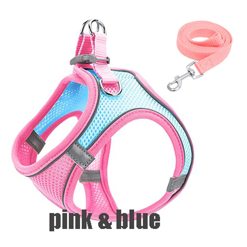 Reflective Dog Harness with Leash – Adjustable Vest XXXS–L