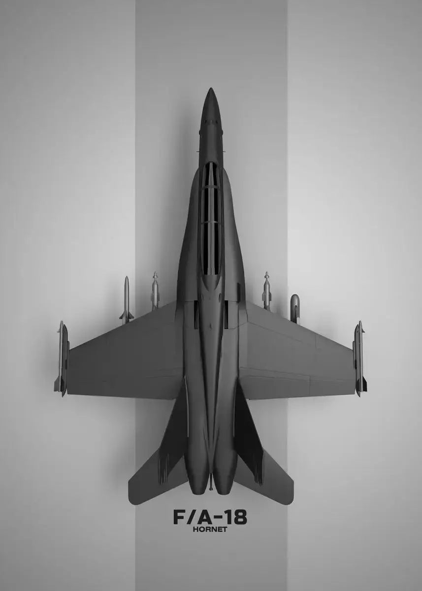 Military Aircraft Canvas Wall Art – F-22 Raptor, Rafale Poster