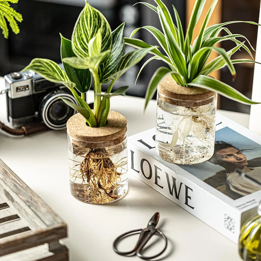 Plant Propagation Station – Hydroponic Acrylic Vase Planter Jars for Desk, Home Garden Decor & Gifts