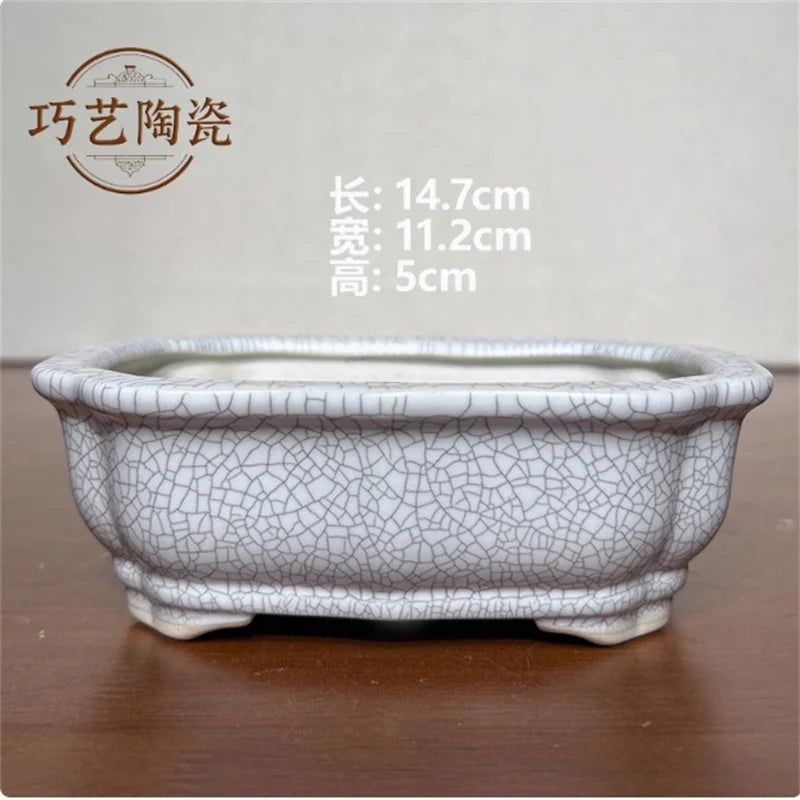Porcelain Glazed Colorful Bonsai Pot | Ceramic Plant Pot