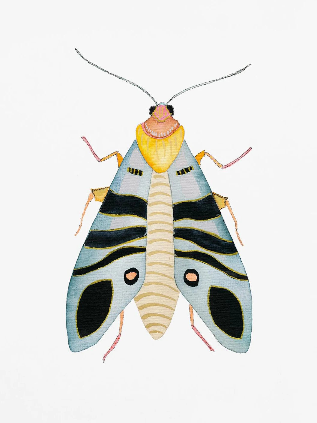 Watercolor Insect Canvas Print | Nursery & Kids Room Wall Art