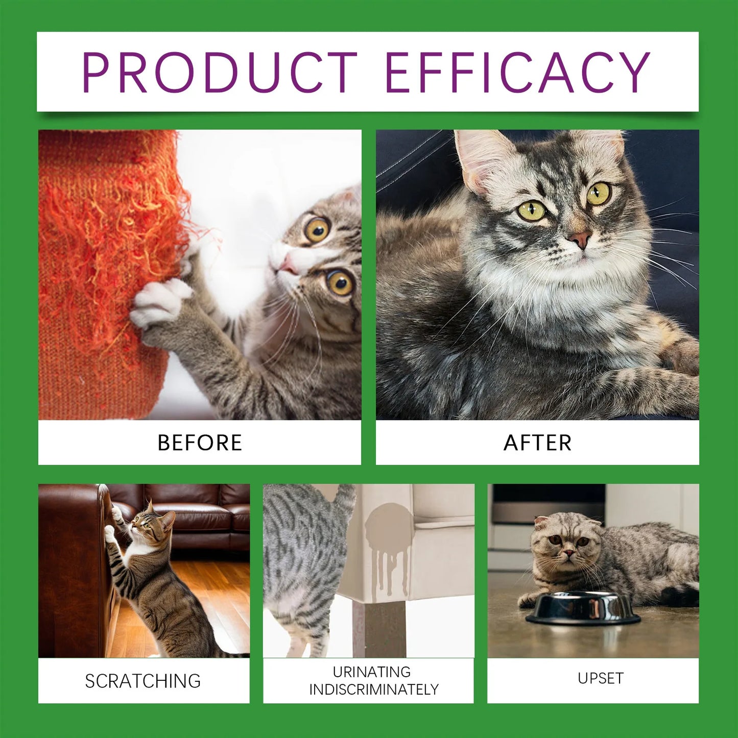 Cat Calming Pheromone Diffuser Kit – Anti-Anxiety Stress Relief