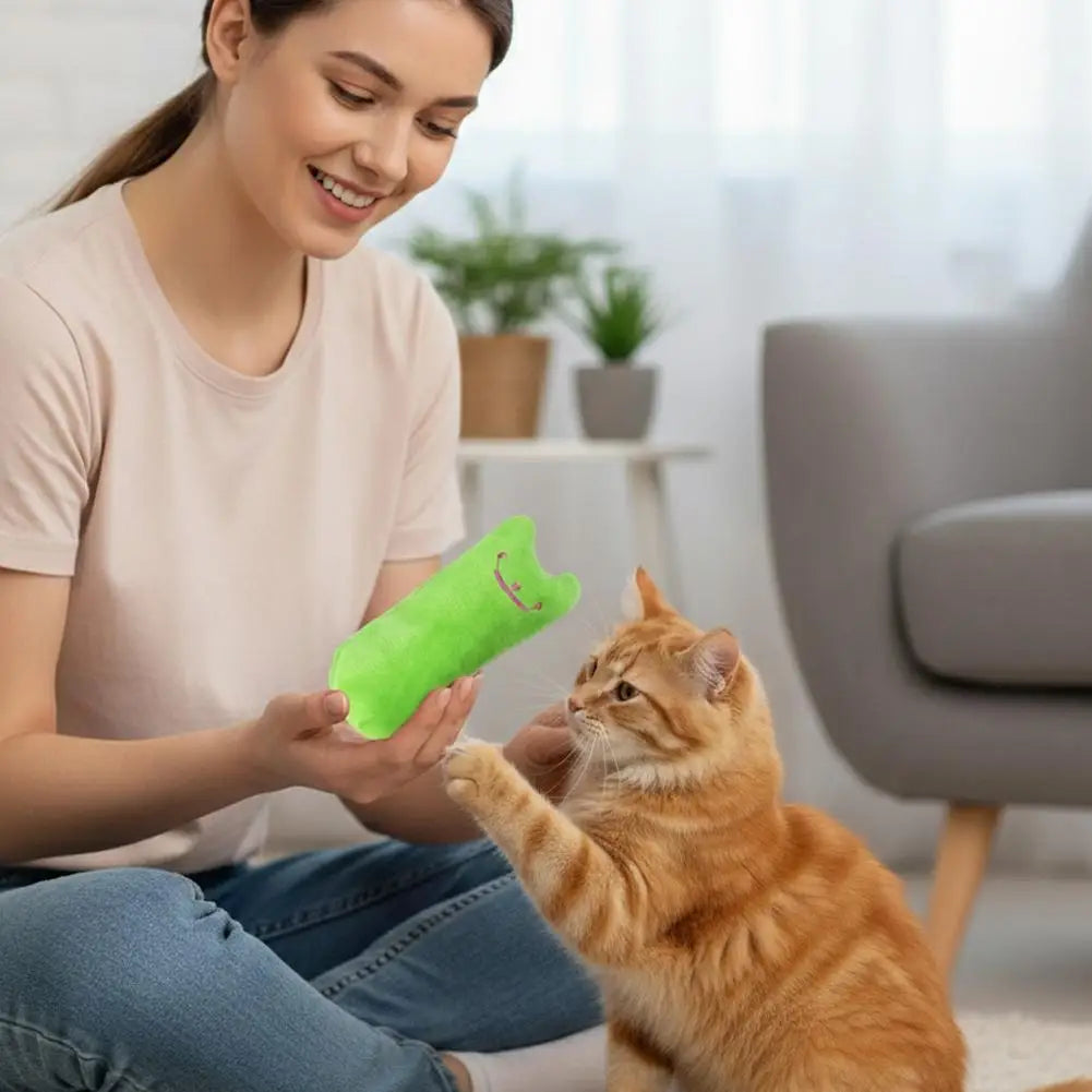 Catnip Crinkle Plush Cat Toy – Interactive Kitten Chew Toy
