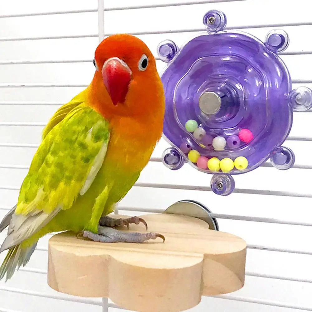 Interactive Parrot Toy for Mental Stimulation Peaceful Pleasures Health and Wellness
