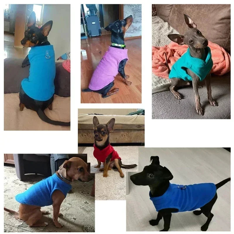 Fleece Vest for Small Dogs – Chihuahua, Pug & Puppy Jacket