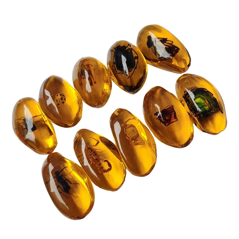 Scorpion Insect Amber Gemstone | Natural Mineral Stone Decor Amber Gemstone Specimen Peaceful Pleasures Health and Wellness