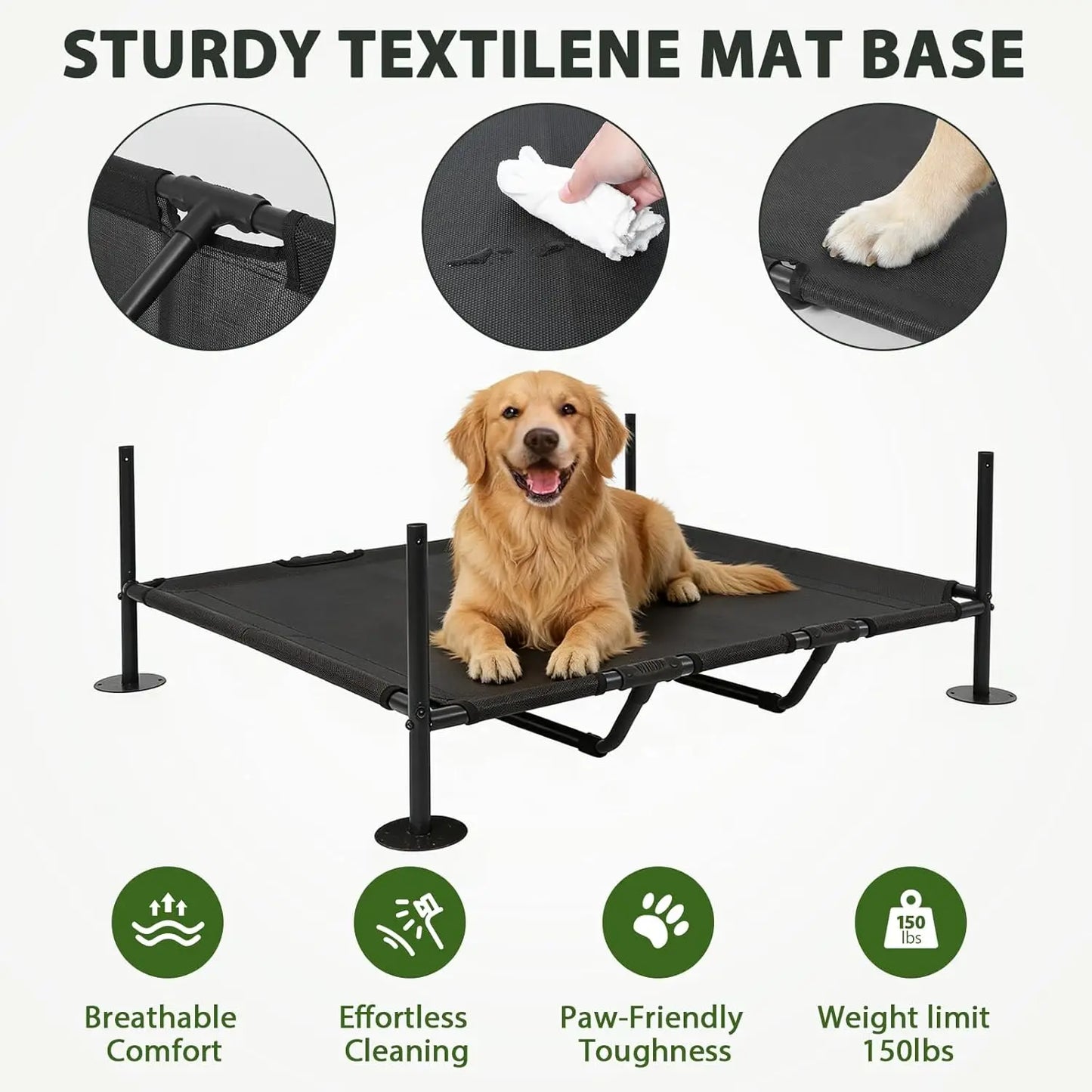 Dog lying on a black pet cot with features highlighted on a white background