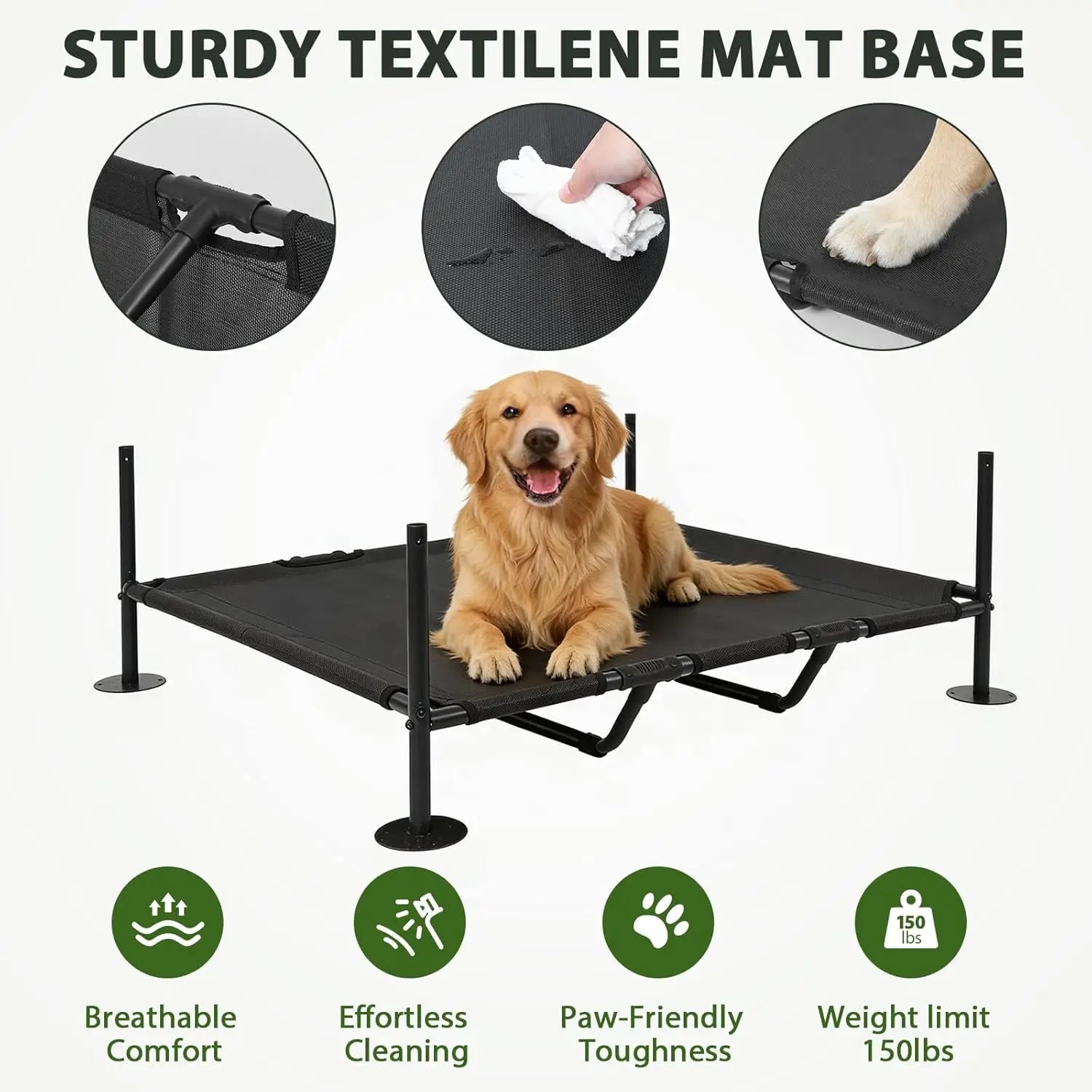 Dog lying on a black pet cot with features highlighted on a white background