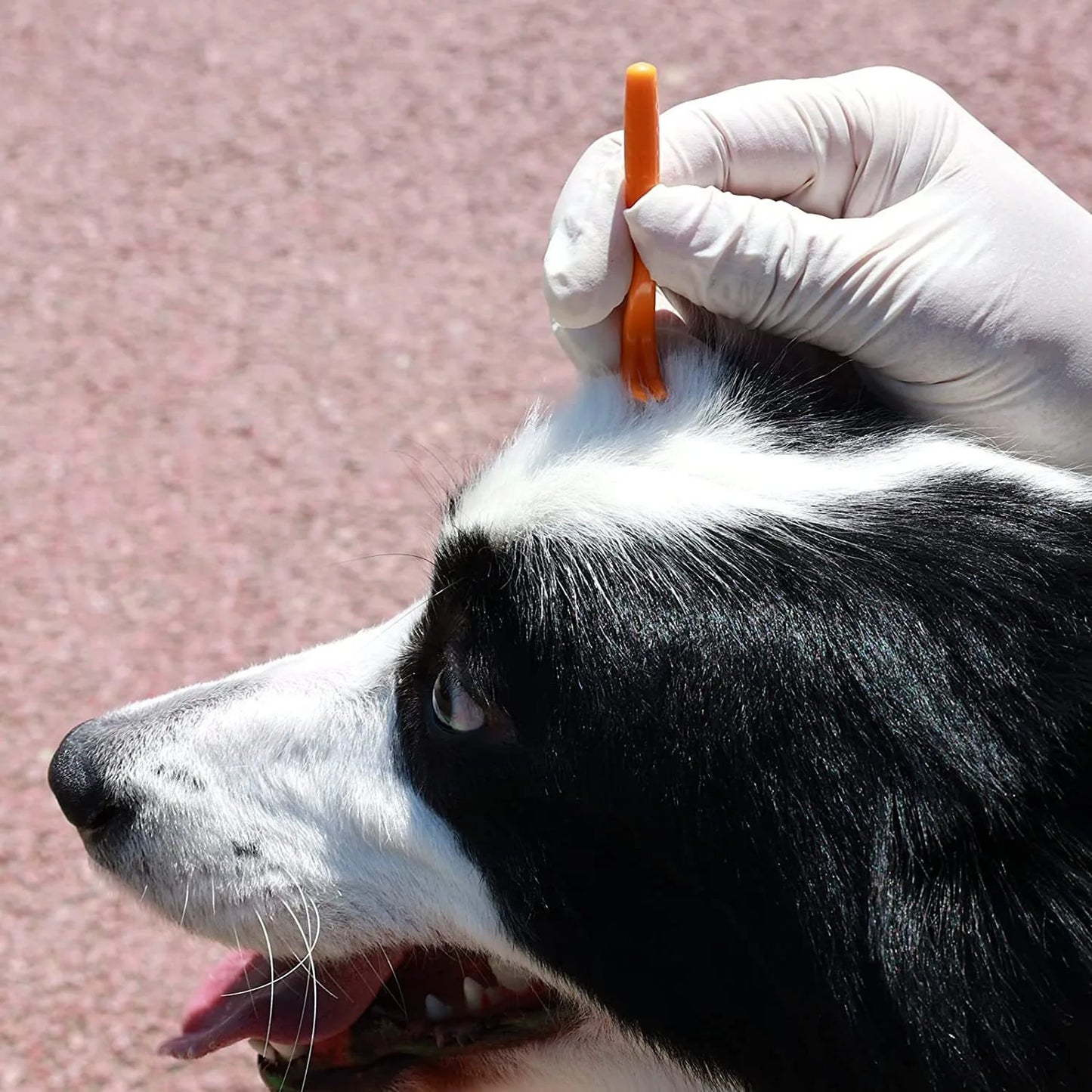 Flea Remover Hook Tick Removal Tweezer Ticks Pull Pet Cat Dog