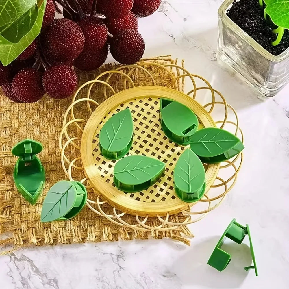Self-Adhesive Plant Climbing Wall Clips – Leaf Shape 10/20 Pack