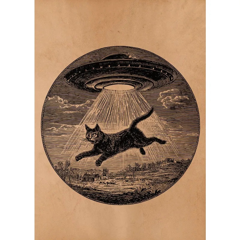 Antique Style Cat UFO Abduction Alien Medieval Knight Mouse Illustration Poste Canvas Painting Wall Art Pictures Home Decor Peaceful Pleasures Health and Wellness 1 40x50cm