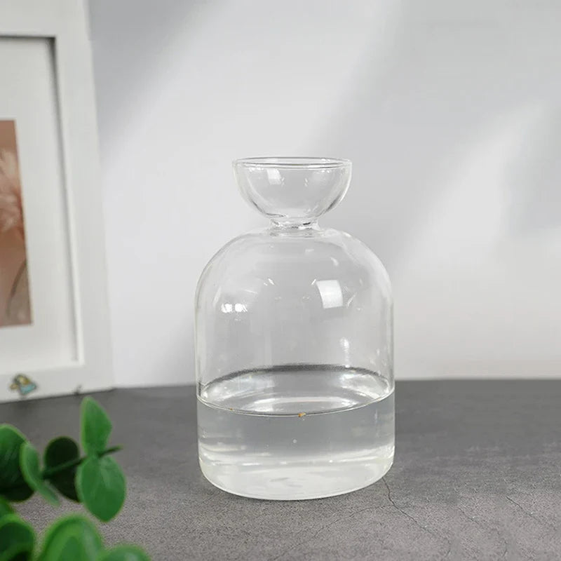 Avocado Seed Starter Glass Vase – Hydroponic Planter Kit