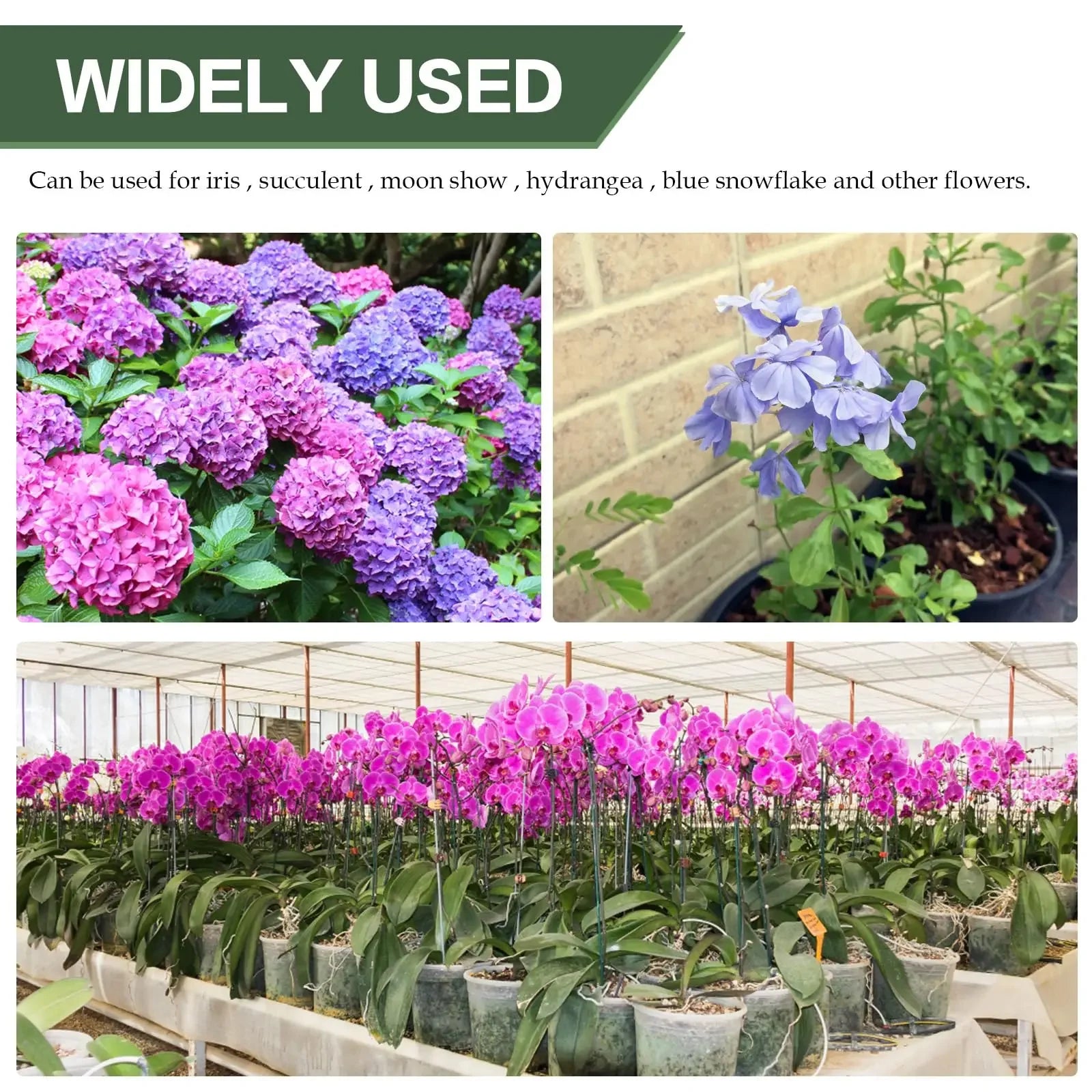 5/10PCS Plant Supports Stand Butterflies Orchid Flower Potted Fixing Rods Reusable Vegetable Protection Fixing Tool Gardening Su Peaceful Pleasures Health and Wellness