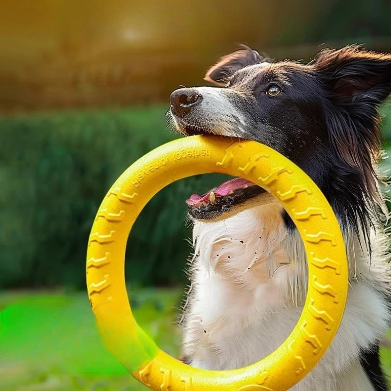 Indestructible Dog Ring Toy – Fetch, Float & Chew All Sizes