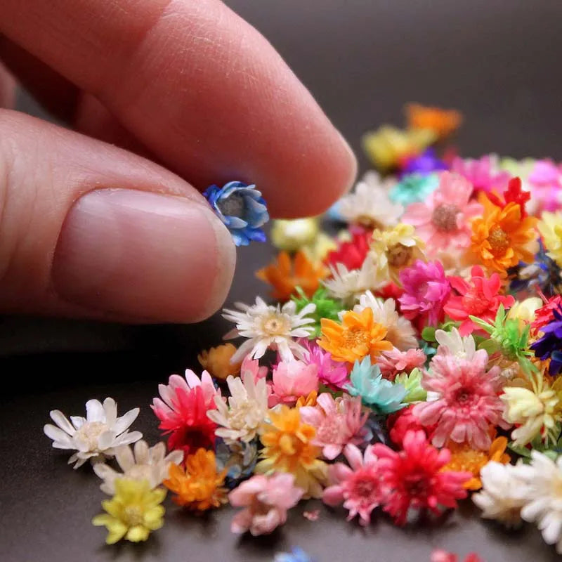 Dried Flowers for Resin, Epoxy, Jewelry & Candle Making