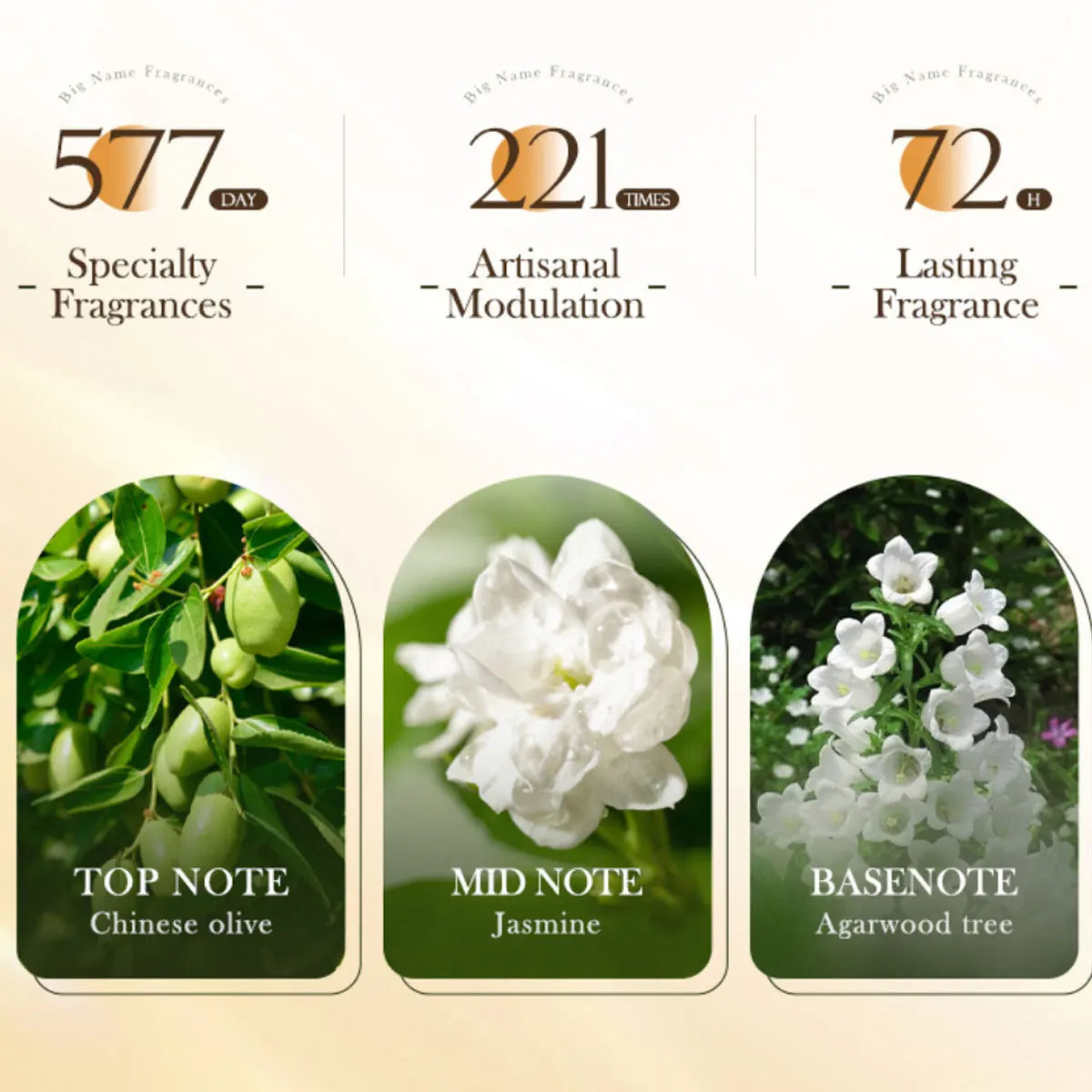 500ml Rice Conditioner Deeply Repairs Damaged Hair, Controls Oil Moisturizes, Leaves Hair Volumizing, Smooth, Shiny, And Elastic Peaceful Pleasures Health and Wellness