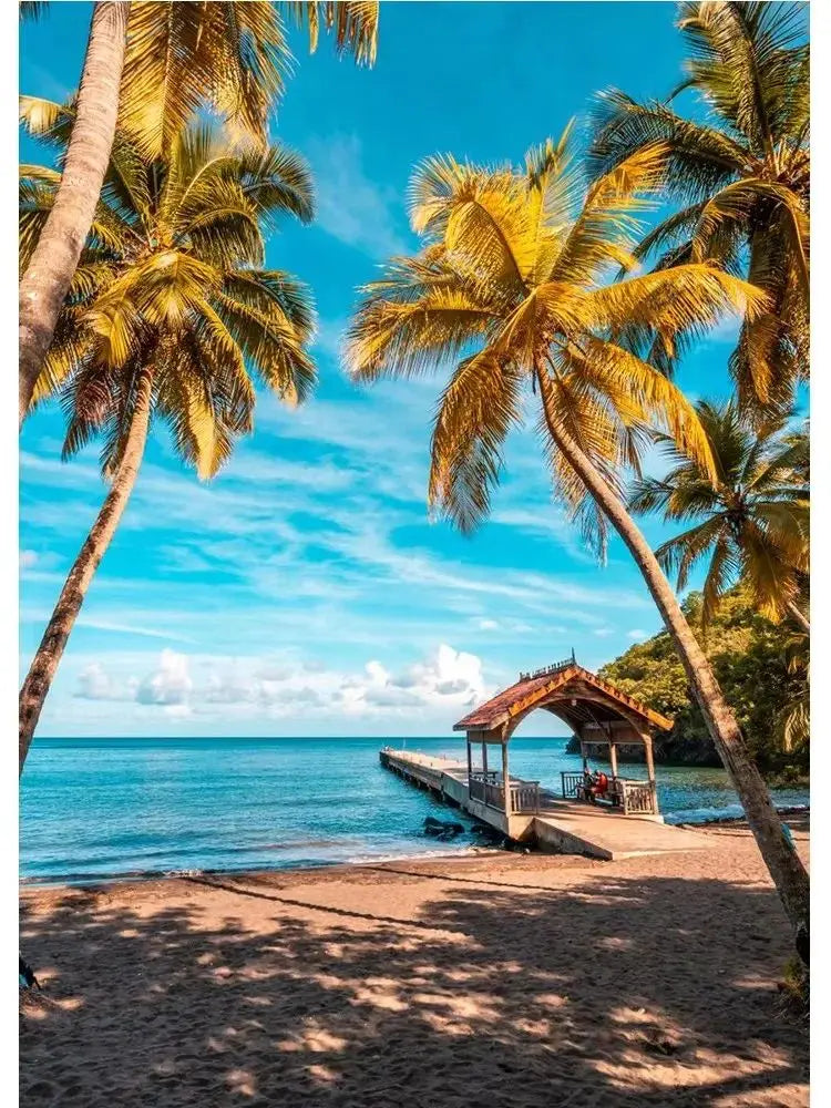 Martinique Beach Ocean Vintage Canvas Wall Art | Unframed Print