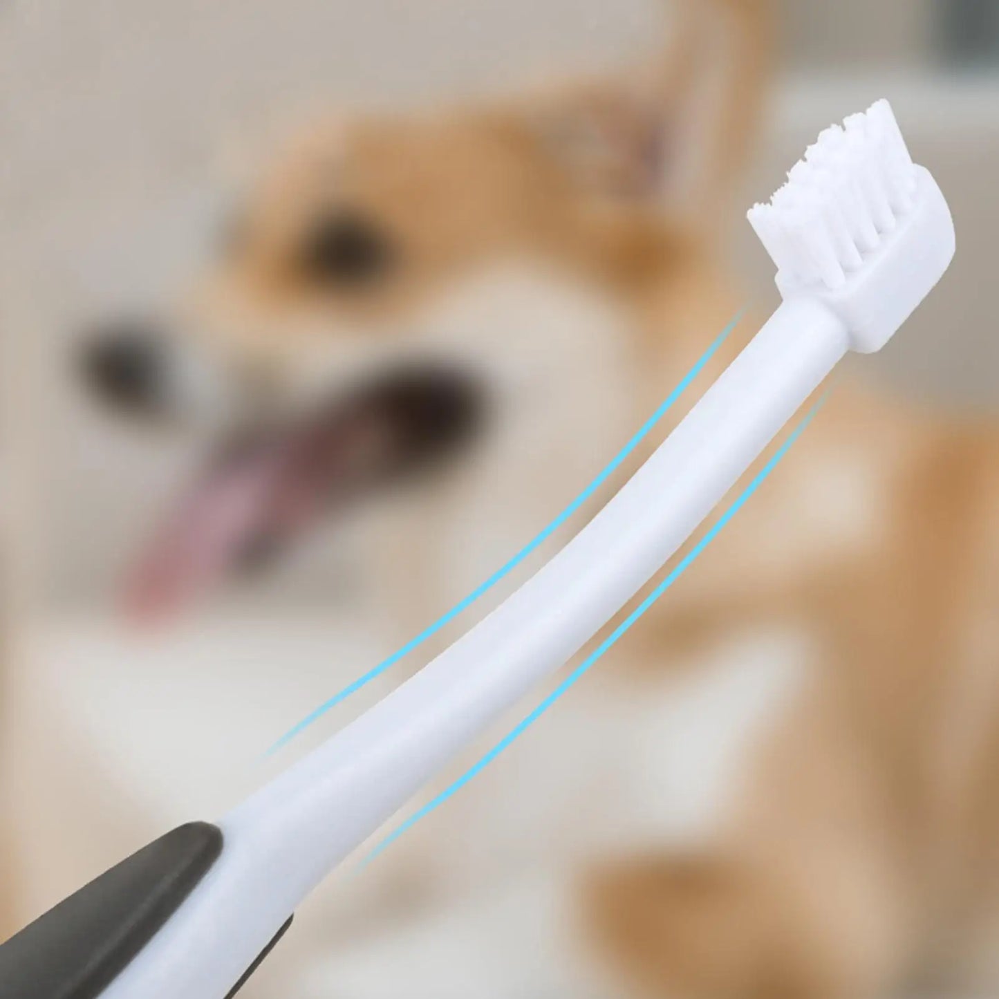 Soft Bristle Pet Toothbrush for Dogs & Cats | Oral Care Pet Toothbrush Peaceful Pleasures Health and Wellness
