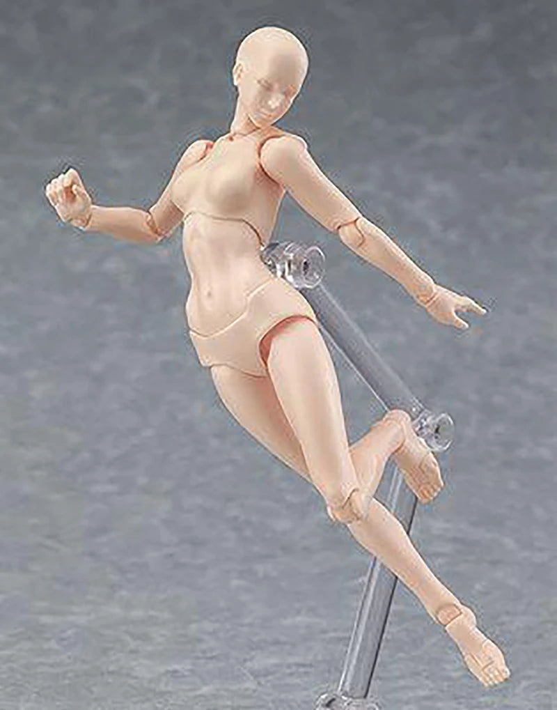 Artist Figure Art Painting Anime Sketch Draw Male Female Body Movable