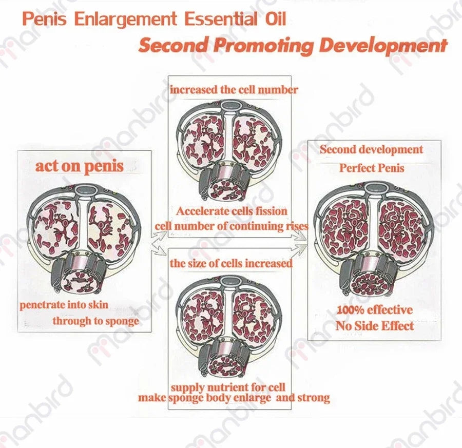 Man Penis Enlargement Gel Long-Last Aphrodisiac Penis Enlargement Cream Private Parts Care Increase Size Erection Sex Products Peaceful Pleasures Health and Wellness