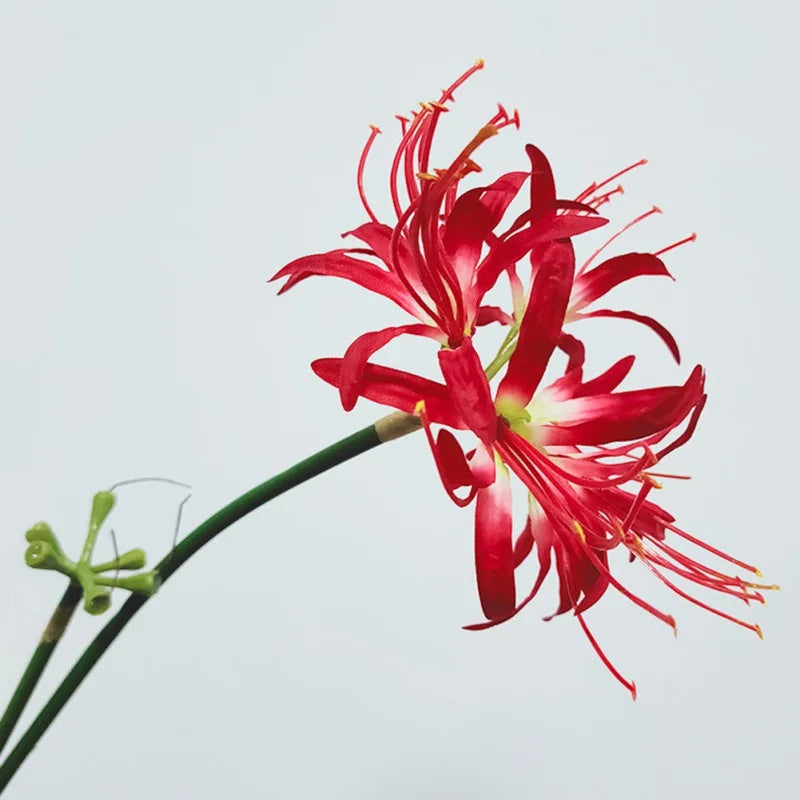 Artificial Red Spider Lily Silk Flower Branch | Home & Wedding