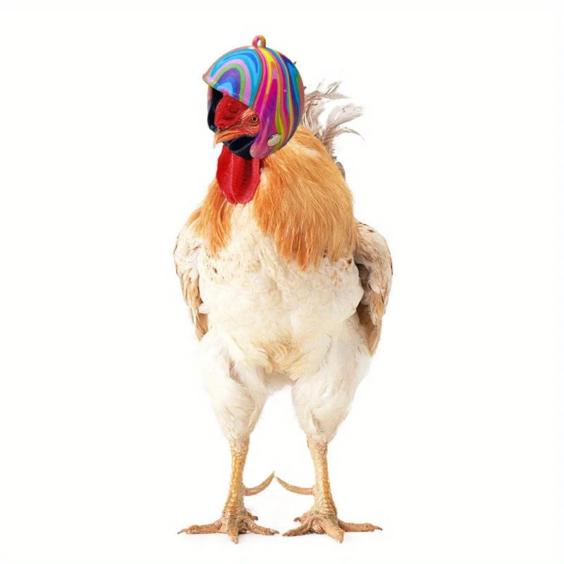 Funny Chicken Helmet – Sun & Rain Pet Costume for Hens & Birds
