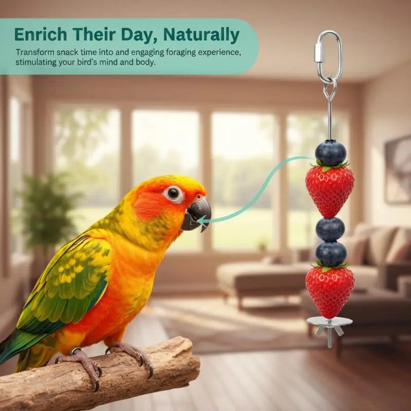 Stainless Steel Parrot Fruit & Veggie Feeding Fork | Bird Cage