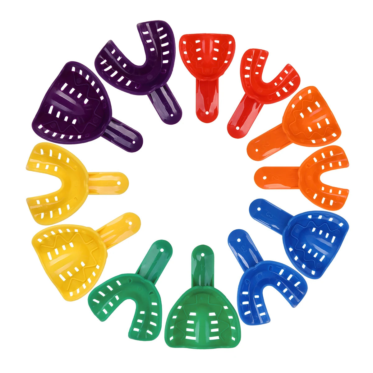 12-Piece Dental Impression Trays Set – Small, Medium & Large