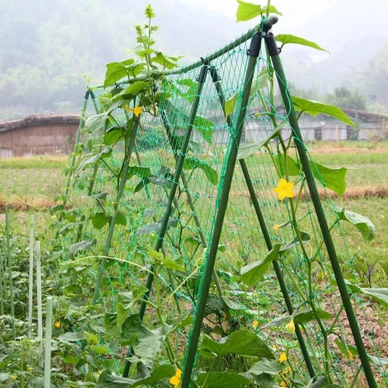 Heavy Duty Trellis Netting for Climbing Plants & Vegetables