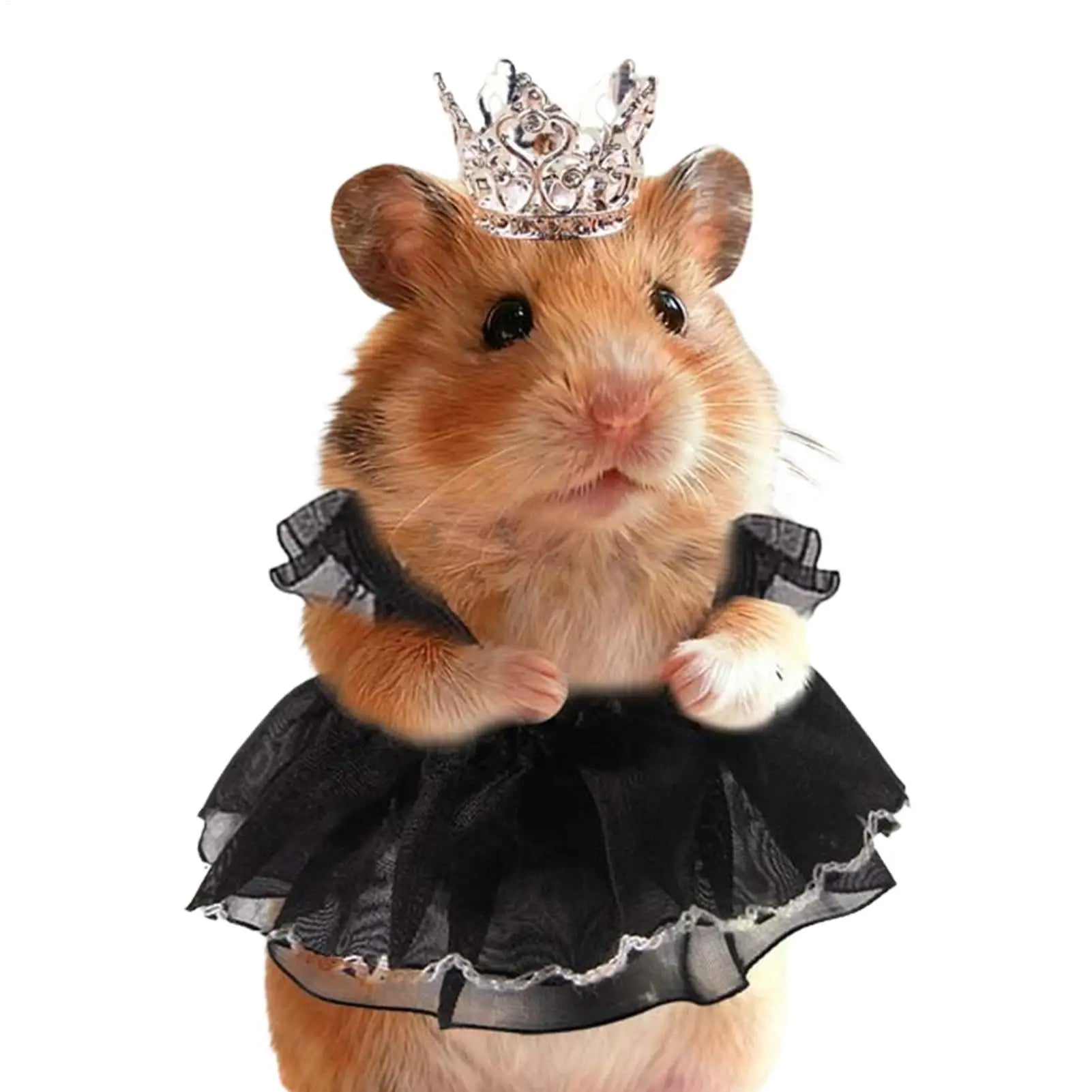 Hamster Outfits Soft Chinchilla Outfits Mini Hamster Dress For Pet Parents Animal Lovers Shelters Shops Photography Birthday Peaceful Pleasures Health and Wellness