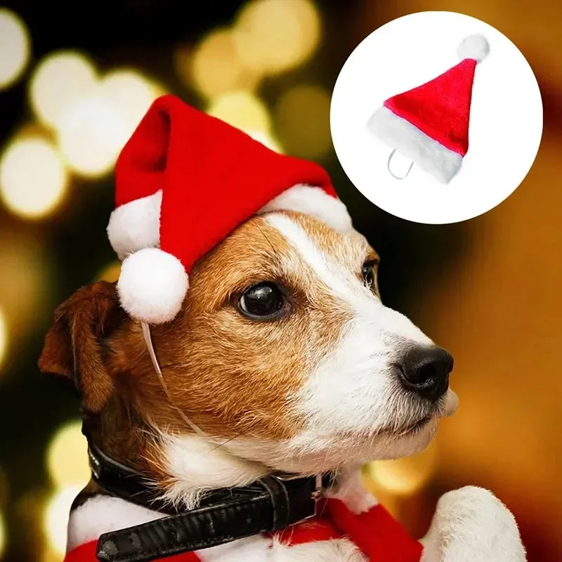 50 Pack Christmas Santa Hats for Dogs & Cats | Pet Costume